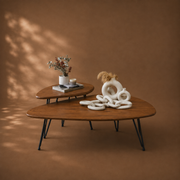 DÚO TERRA