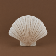 CONCHA DE MAR DECORATIVA