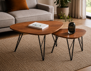 MESA DE CENTRO